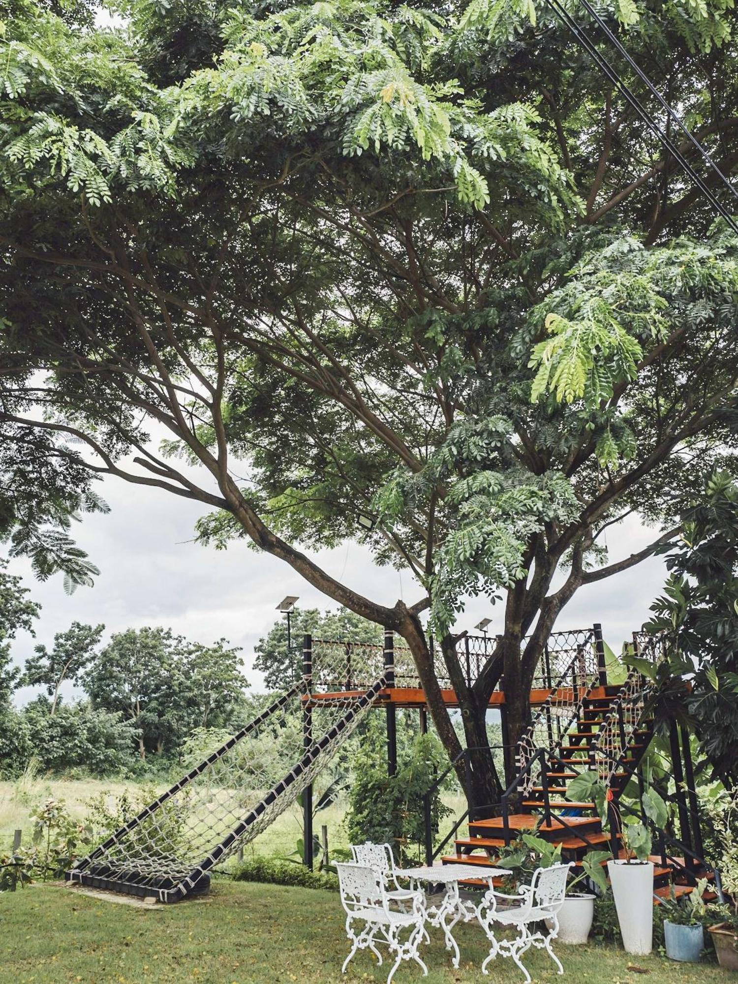 Tantai Eco Farm At Khao Yai Farm stay